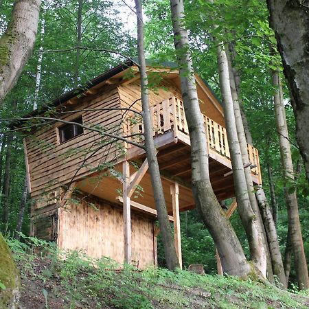 Treehouse Velke Losiny Velké Losiny Exterior foto