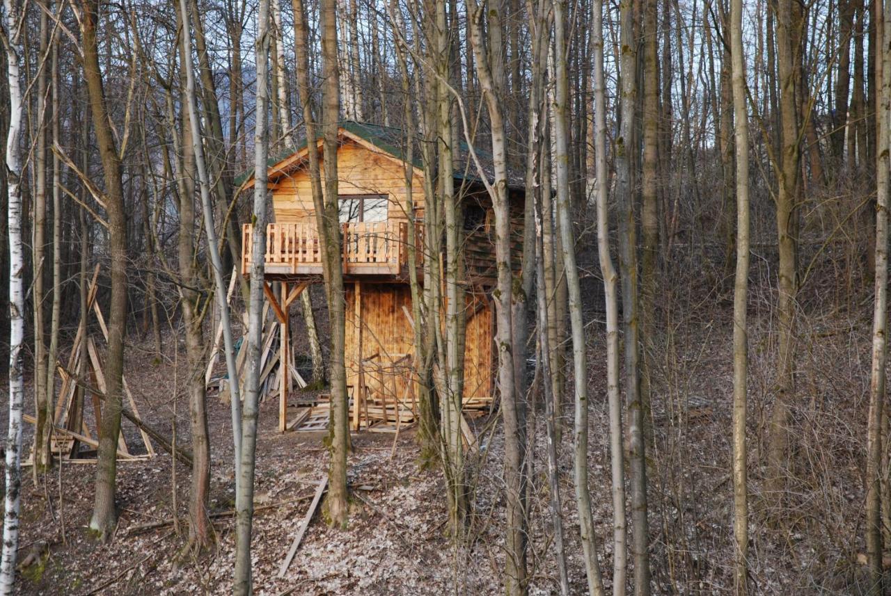 Treehouse Velke Losiny Velké Losiny Exterior foto