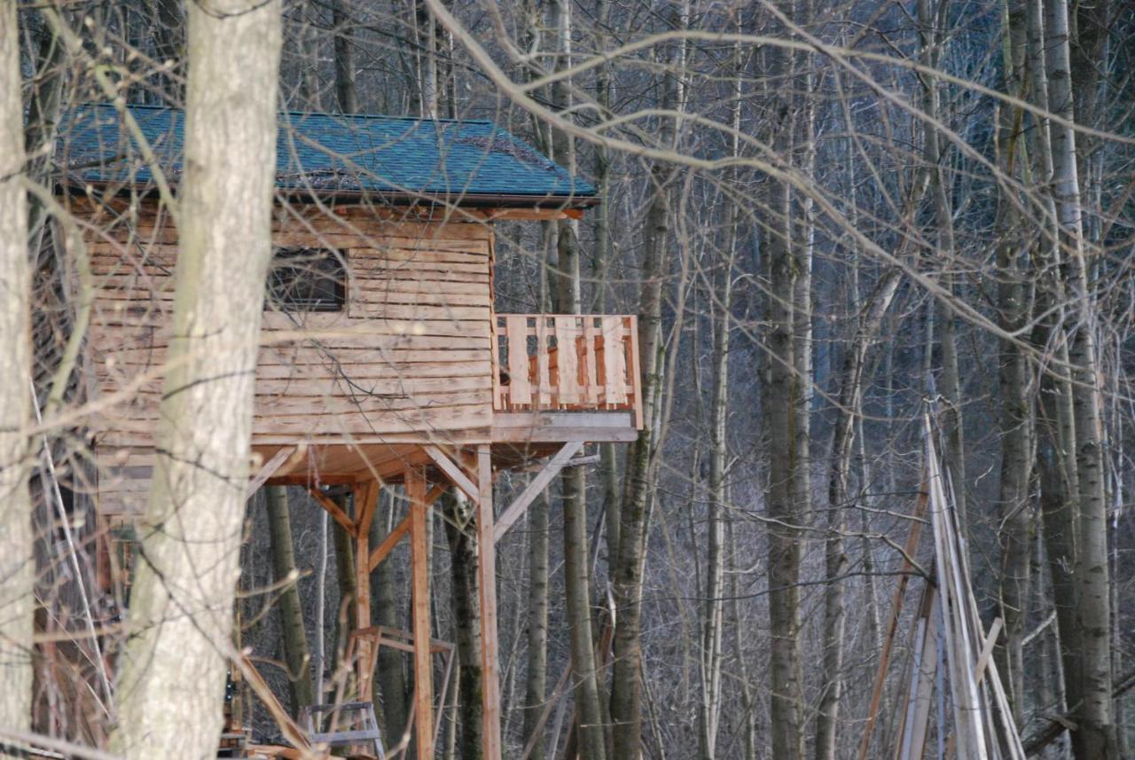 Treehouse Velke Losiny Velké Losiny Exterior foto