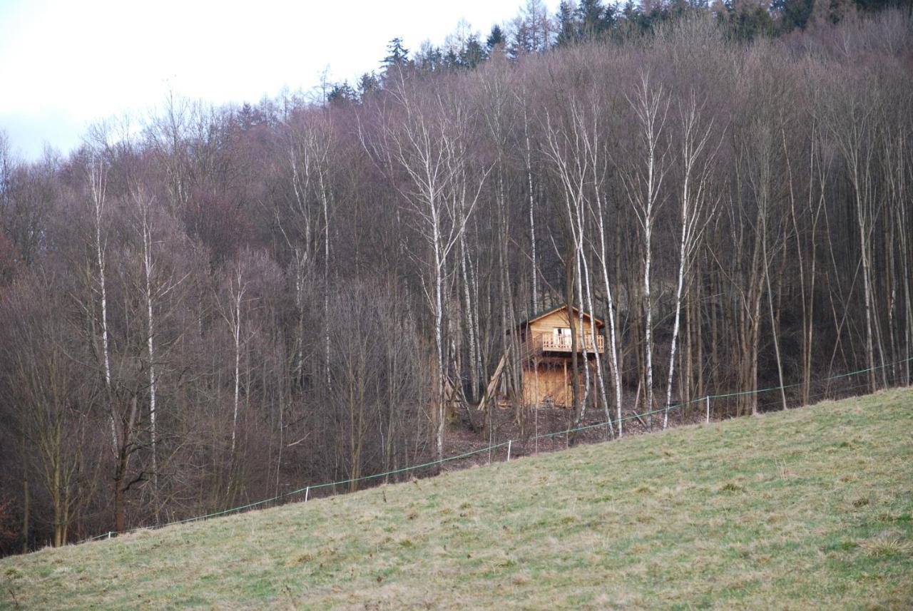 Treehouse Velke Losiny Velké Losiny Exterior foto