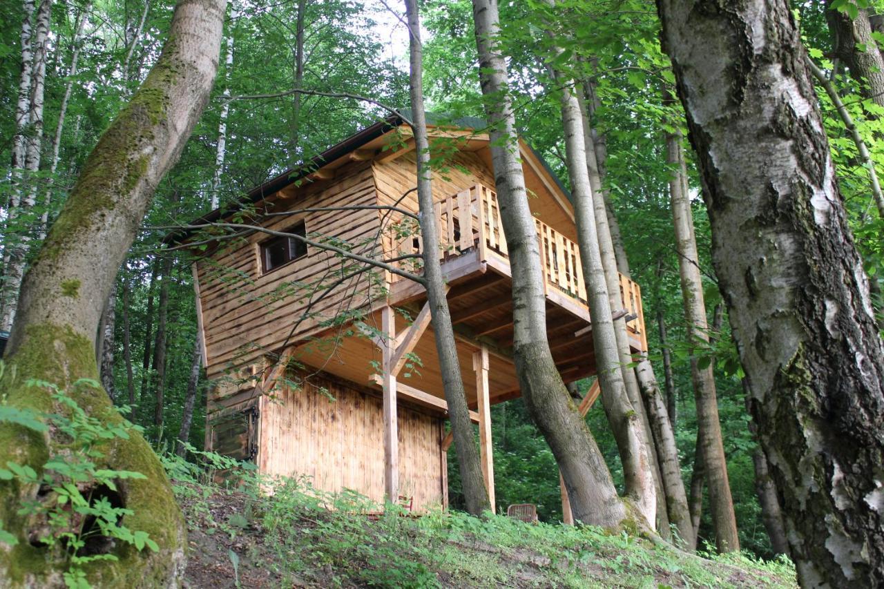 Treehouse Velke Losiny Velké Losiny Exterior foto
