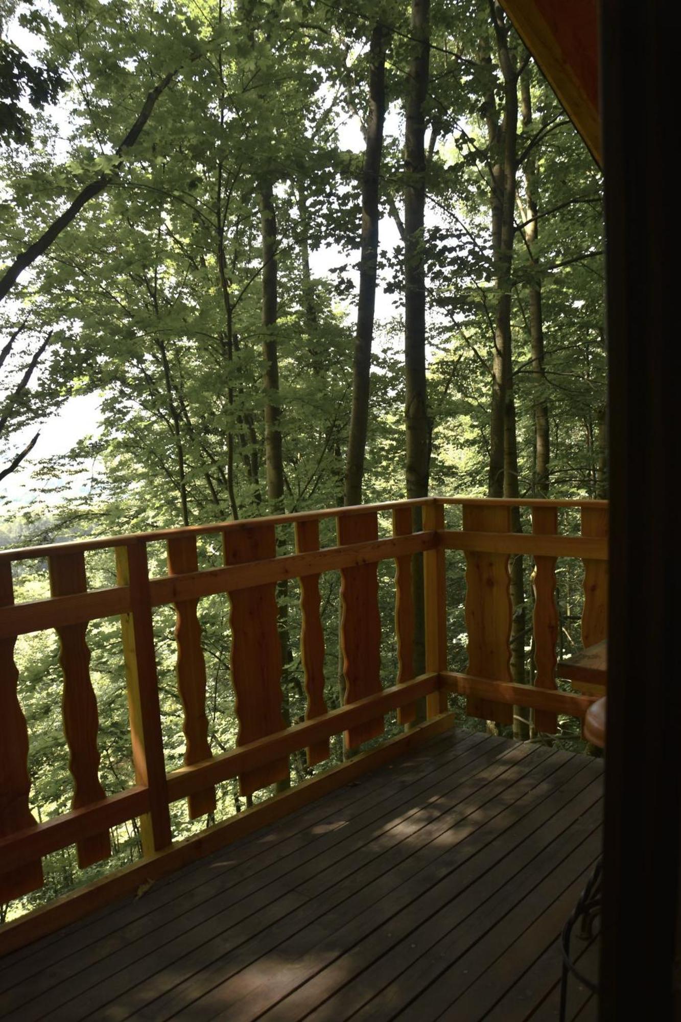 Treehouse Velke Losiny Velké Losiny Exterior foto